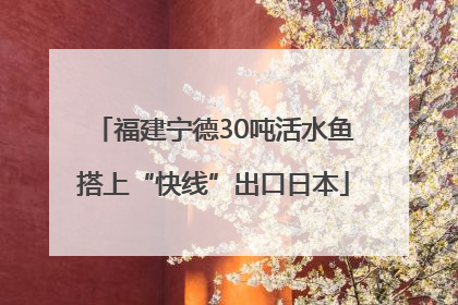 福建宁德30吨活水鱼搭上“快线”出口日本